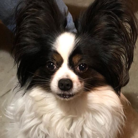 Meet your Posher, Leanne - Picture 1 of 1